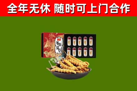 忻府回收冬虫夏草价格
